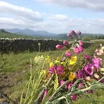 Tethera At Coal Yeat *