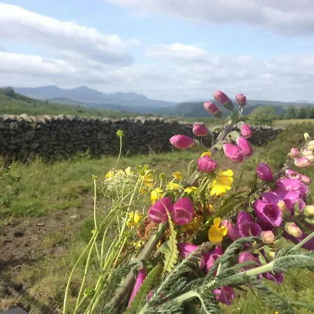 Tethera At Coal Yeat *