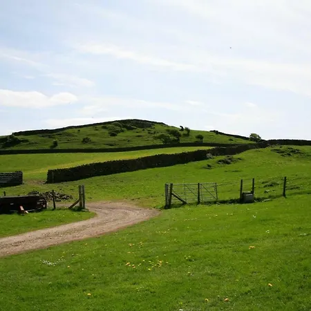 Daire Tethera At Coal Yeat